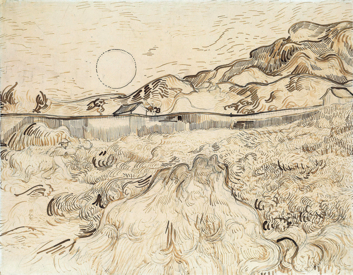  文森特·威廉·梵高  Vincent Willen Van Gogh —— 圣保罗医院背后的田园